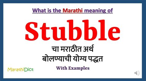 stubble meaning in marathi